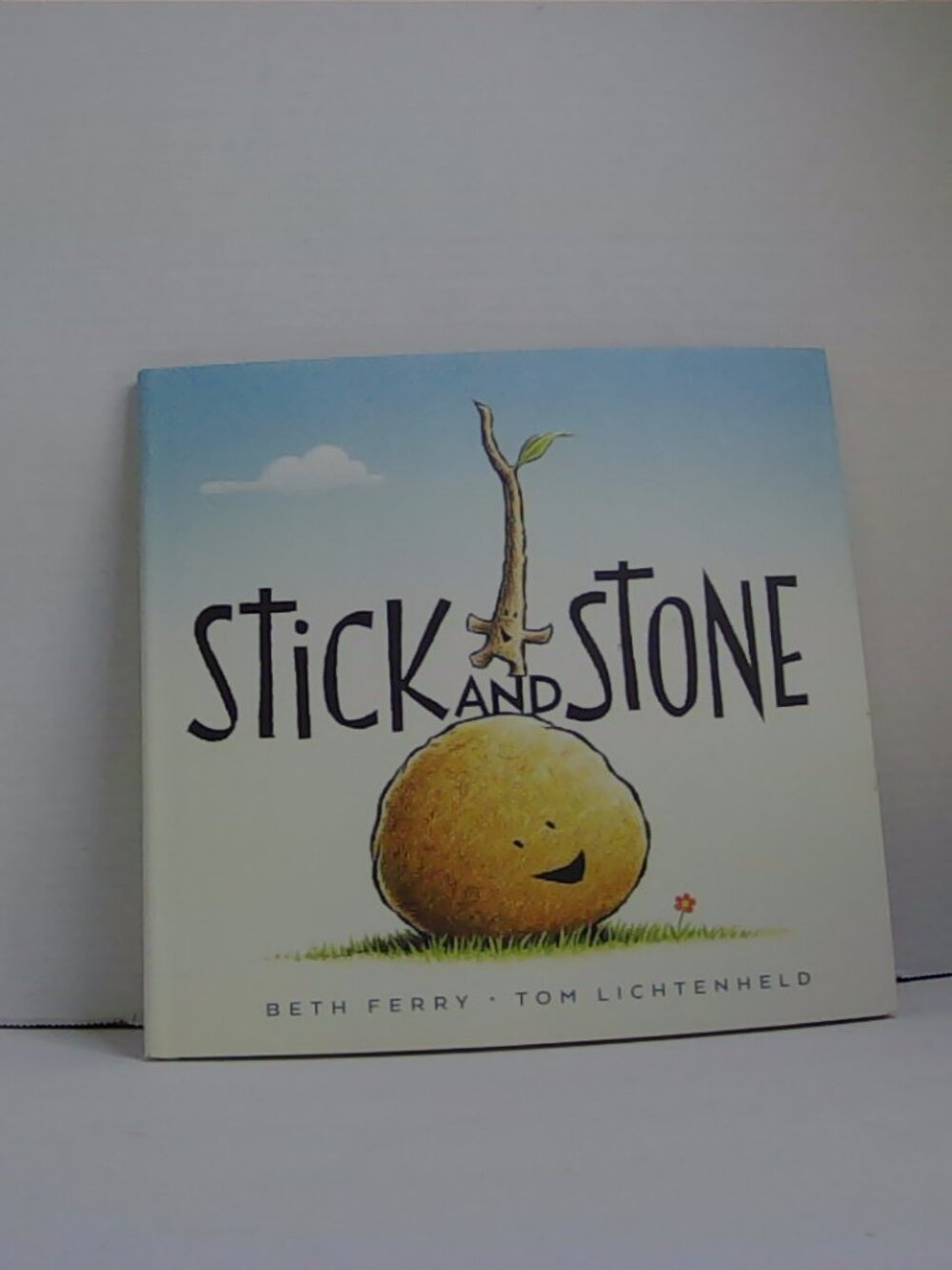 Stick and Stone Beth Ferry picture book